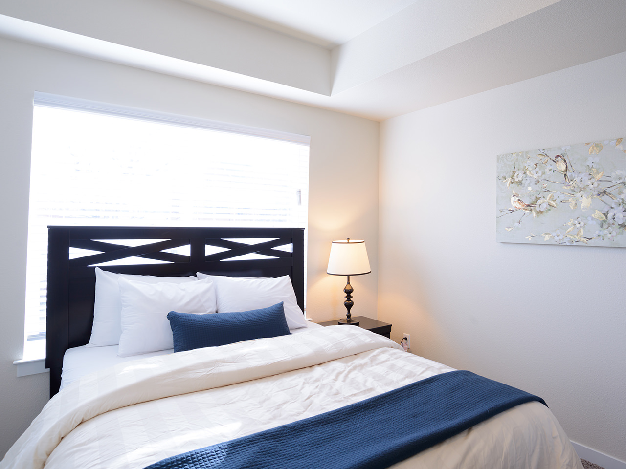 Apartments in Fort Collins for Rent: Studio, 1 Bedroom | College 830